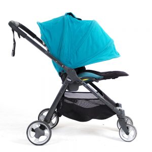 rent stroller